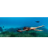 SUBLUE Vapor — Scooter Pump-Jet 10 km/h Alta Gama