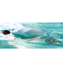 ASIWO Manta 2 — Scooter Submarino 15 kgs