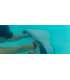 ASIWO Manta 2 — Scooter Submarino 15 kgs
